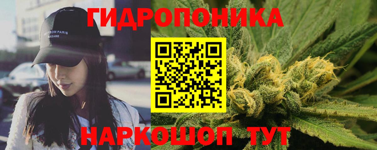 Бошки марихуана VHQ  Конопля планчик  Бошки марихуана сатива  Сыктывкар  Вход с VPN 